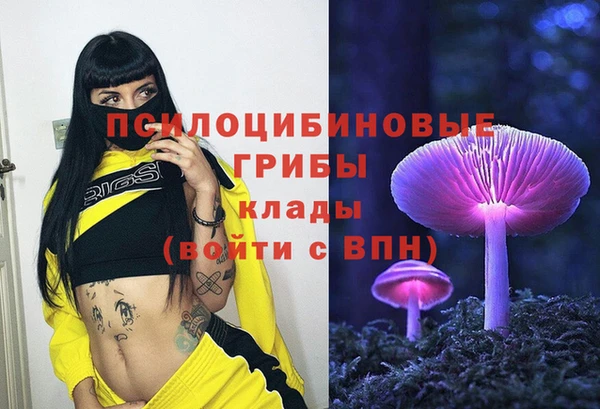 марки lsd Козельск