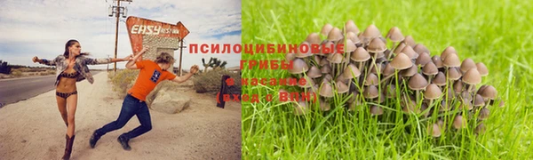 экстази Козловка